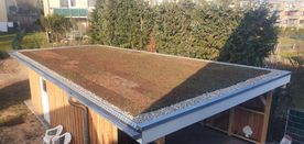 Flachdachbegrünung bei einem Carport mit Abstellraum