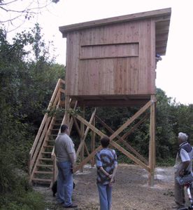 Dieser Aussichtsturm in einem Naturschutzgebiet wurde von der Zimmerei Falkenberg komplett aus Lärchenholz hergestellt. Unter den Nadelhölzern zählt das Lärchenholz zu den witterungsbeständigsten und stabilsten Holzarten.